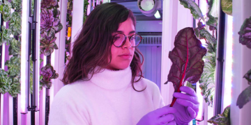 Verde Compacto aporta soluciones para una agricultura sostenible