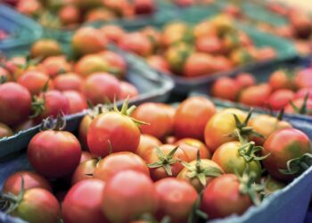 Aumentan exportaciones agrícolas de países emergentes: FAO