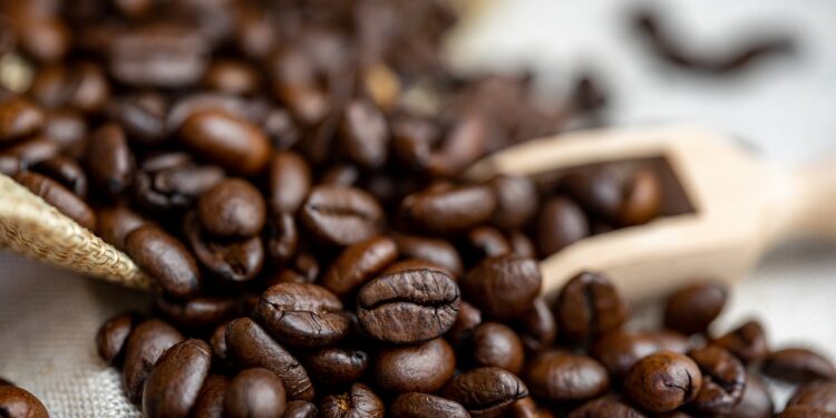 Caficultores producen su propio biofertilizante