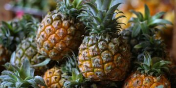 Crean aerogel de piña para conservar alimentos