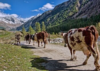 La Comisión Europea aplaza ley para producción ecológica