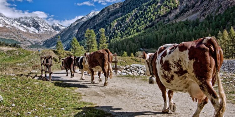 La Comisión Europea aplaza ley para producción ecológica