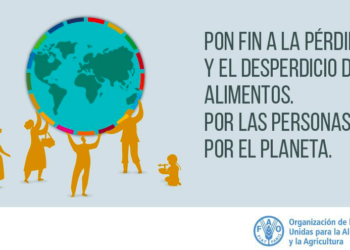 Menos desperdicio de comida beneficia a las personas y al planeta