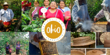 Proyecto Obio trae a la CDMX productos sustentables