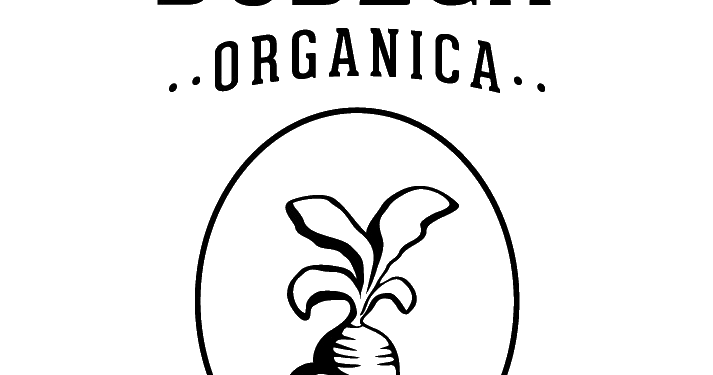 San Miguel de Allende tiene un nuevo mercado orgánico