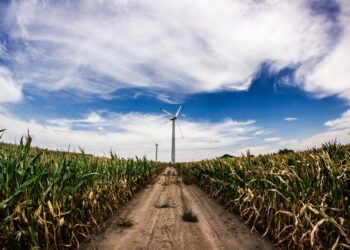 La brecha digital afecta al 36% de la población rural de AL y El Caribe