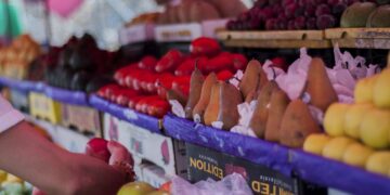 Mazatlán reactiva mercados orgánicos