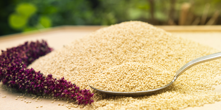 México cuenta con 14 variedades mejoradas de amaranto