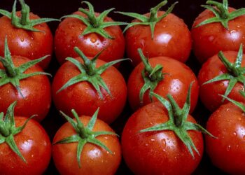 Polonia se abre camino en la agricultura ecológica