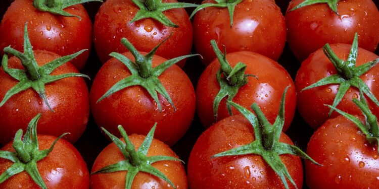 Polonia se abre camino en la agricultura ecológica