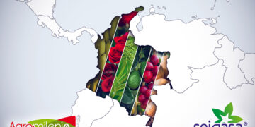 Seipasa inicia operaciones en Colombia