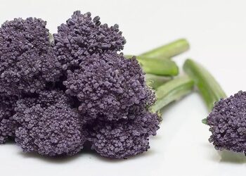 Un brócoli “funcional” gana el Innovation Hub Awards