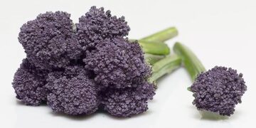 Un brócoli “funcional” gana el Innovation Hub Awards