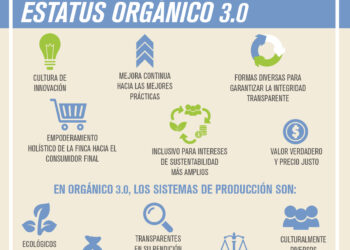 Características Fundamentales del Estatus Orgánico 3.0