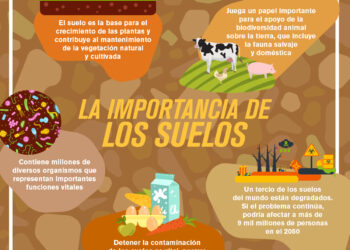 La importancia de los suelos