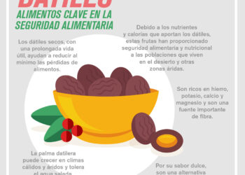 Dátiles – Alimentos clave en la Seguridad Alimentaria