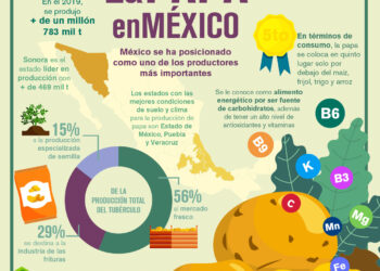 La papa en México