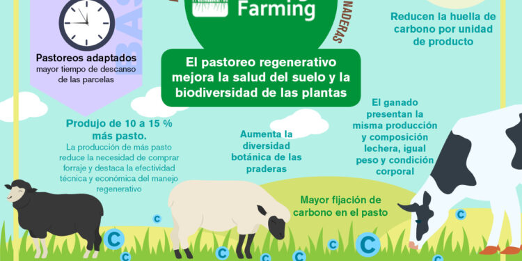 Alternativa para la Sostenibilidad de las granjas ganaderas – LifeRegen Farming