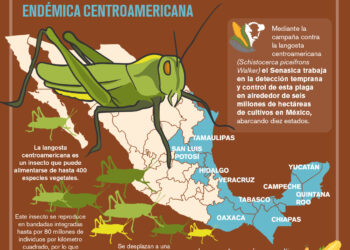 Acciones Fitosanitarias Contra la Langosta Endémica Centroamericana