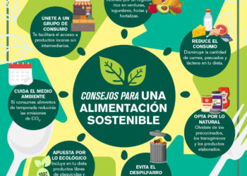 Consejos para una Alimentación Sostenible