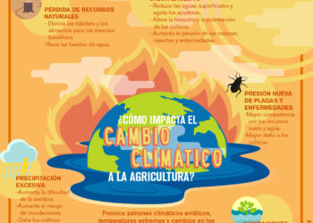 ¿Cómo impacta el cambio Climático a la agricultura?
