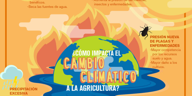 ¿Cómo impacta el cambio Climático a la agricultura?