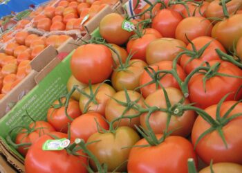 A pesar de la contracción económica, el sector agroalimentario crece 2.3%