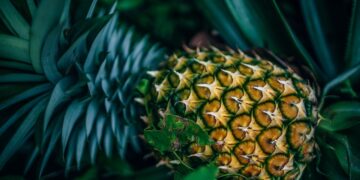 Argentina, Colombia y Costa Rica destacan como líderes en bioeconomía