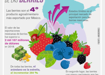 El Jugoso Mercado de las Berries