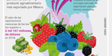 El Jugoso Mercado de las Berries