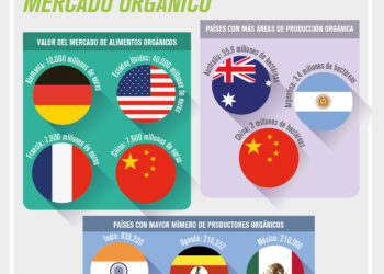 Las cifras del Mercado Orgánico