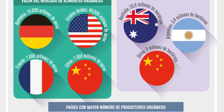 Las cifras del Mercado Orgánico