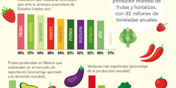 Oportunidades de Diversificación para Hortalizas y Frutas Mexicanas