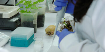 Países de Norteamérica reciben reconocimiento por su contribución a la fitosanidad