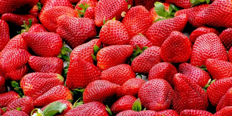 Patentan dispositivo para conocer en tiempo real la vida útil de frutas y hortalizas