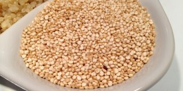 ¿Por qué es tan popular la quinoa?