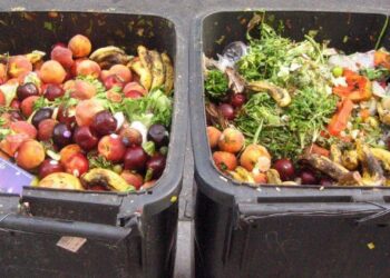 Científico mexicano obtiene biocombustible con residuos de comida