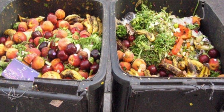 Científico mexicano obtiene biocombustible con residuos de comida