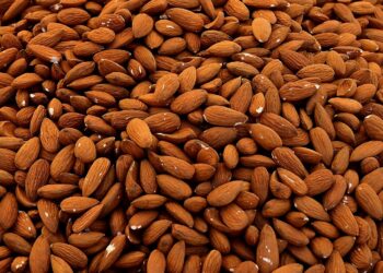 Con dióxido de carbono, investigadores descontaminan almendras y frutos secos