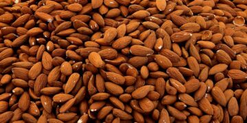 Con dióxido de carbono, investigadores descontaminan almendras y frutos secos