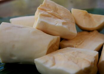 Inicia la era de la comida producida en impresoras 3D