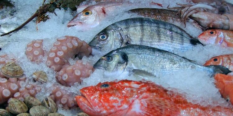 Acuicultura orgánica: un caso de éxito en Irlanda y Hungría