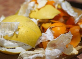 Con residuos de frutas y hortalizas, crean harina con menos calorías y más fibra