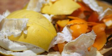 Con residuos de frutas y hortalizas, crean harina con menos calorías y más fibra