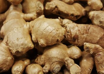 Demanda mundial de jengibre posiciona a Perú entre los principales proveedores