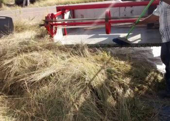 Especialistas del Colpos crean cosechadora de pasto con recolección de semilla