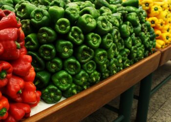 Amenazas comerciales de EU no frenan siembras de hortalizas en Sinaloa