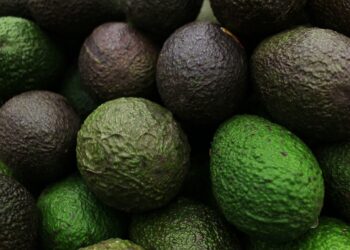 Más de 130 mil toneladas de aguacate mexicano para el Super Bowl