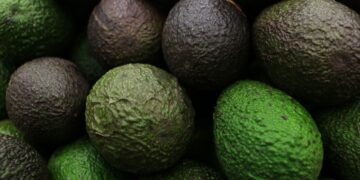 Más de 130 mil toneladas de aguacate mexicano para el Super Bowl