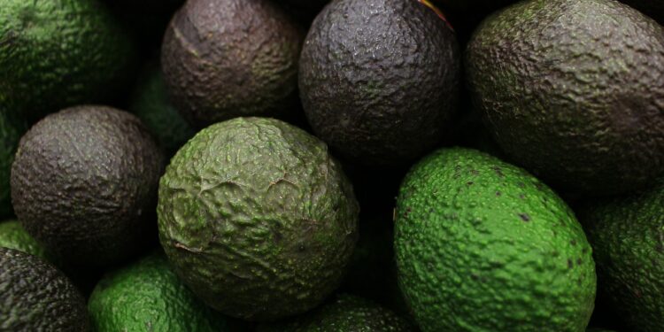 Más de 130 mil toneladas de aguacate mexicano para el Super Bowl